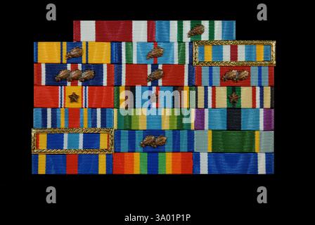 Immagine ravvicinata del nastro dell'ufficiale della United States Air Force (USAF) (detto anche insalata). Foto Stock