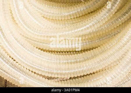 Plastica trasparente flessibile acqua closeup nella vista Foto Stock