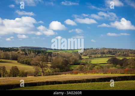 Dolce campagna ondulata dell'alta campagna weald e bosco vicino a Great Dixter East Sussex, Inghilterra sud-orientale, Regno Unito Foto Stock