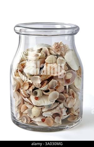 vaso decorativo in vetro con conchiglie e ciottoli diversi isolati su sfondo bianco Foto Stock