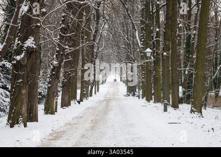 Percorso innevato attraverso il parco Lazienki di Varsavia, Polonia. Foto Stock