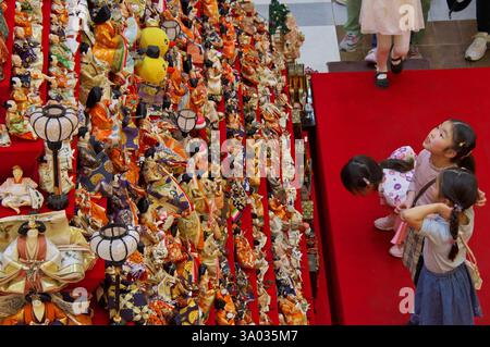 Etwa 1600 traditionelle japanische Hina-Puppen wurden beim jährlichen Puppenfest Hina-Matsuri auf einem 7 Meter hohen Pyramidenständer ausgestellt. HiNA-Matsuri ist ein japanischer Festtag, der jedes Jahr AM 3. März gefeiert wird. In der Zeit vor diesem Tag stellt man auf abgestufte, mit rotem Tuch überzogene Plattformen einen Satz von Puppen, die in traditionelle kimonos gekleidet sind und die Kaiser, Kaiserin, Dienerinnen und Musiker in offizieller Hofkleidung darstellen. Konosu, 02.03.2025 *** circa 1600 bambole Hina tradizionali giapponesi sono state esposte su uno stand piramidale alto 7 metri Foto Stock