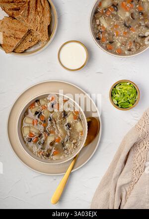 Fotografia gastronomica di zuppa di funghi con orzo e verdure, carote; patate, cipolla primaverile, panna, pane tostato, cibo vegetariano sano Foto Stock