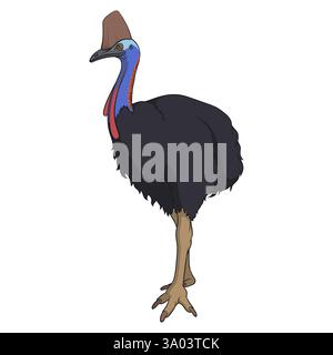 Illustrazione a colori con uccello cassowary, casuarius. Oggetto vettoriale isolato su sfondo bianco. Illustrazione Vettoriale