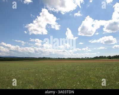 Durante una delle nostre escursioni in estate. Un lungo sentiero di pianura e sole. Foto Stock