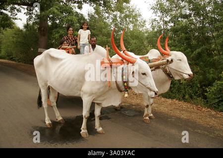 Madre e figlie dell'India meridionale che si divertono con un giro in carrozza, Wai, Maharashtra, India MR.# 645, 189, 191 Foto Stock