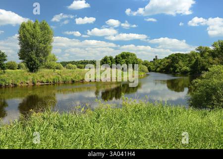 Paesaggio lungo il fiume Saale nella valle di Saale vicino a Naumburg in primavera, sullo sfondo le rovine del castello di Schoenburg, Naumburg, Sassonia-Anhalt Foto Stock