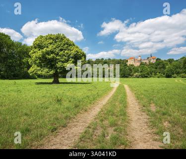 Percorso di campagna attraverso il paesaggio nella valle di Saale vicino a Naumburg in primavera, di fronte a un tiglio solitario in fiore, dietro il castello di Goseck, Naumburg, Saxo Foto Stock