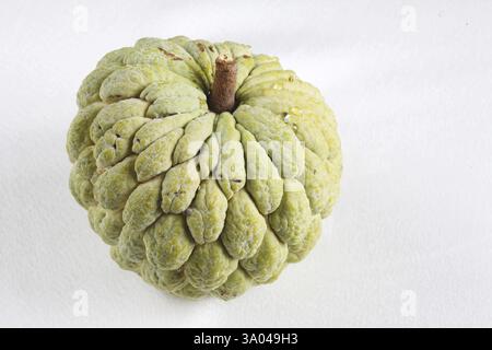 Frutta, zucchero di mela e canna di mela, squamosa su sfondo bianco Foto Stock