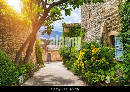 Affascinante strada nel pittoresco villaggio di Menerbes con edifici colorati e fiori vivaci. Villaggio di Menerbes (il più bel villaggio in Francia) nel Foto Stock