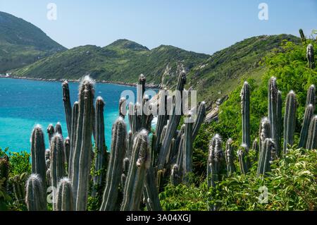 Ci sono molti cactus sulle montagne di Pontal do Atalaia con una vegetazione lussureggiante e le acque turchesi della baia di Guriri sotto il caldo cielo blu mattutino estivo. Foto Stock