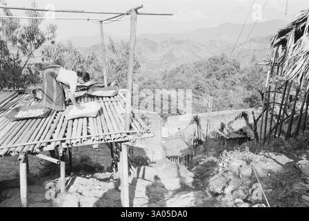 Essiccazione di verdure e cereali su piattaforme di bambù tribù Apa Tani, vicino a Ziro, Arunachal Pradesh, India 1982 Foto Stock