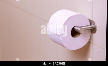 Carta igienica appesa su un supporto in acciaio inossidabile in bagno Foto Stock