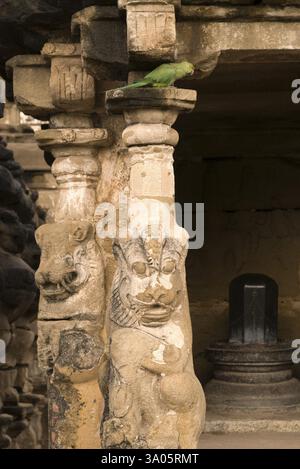 Tempio di Kailasanatha in arenarie costruito dal re Pallava Narasimhavarman & Son Mahendra Kanchipuram, Tamil Nadu Foto Stock