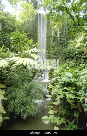 Cascata all'interno dello zoo al parco ornitologico jurong, Singapore, Asia Foto Stock
