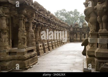 Tempio Kailasanatha in arenarie costruito dal re Pallava Narasimhavarman Kanchipuram, Tamil Nadu, India, Asia Foto Stock