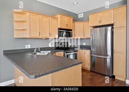 Cucina con frigorifero in acciaio inossidabile, microonde e ripiano in granito nero. La cucina è pulita e ben organizzata Foto Stock