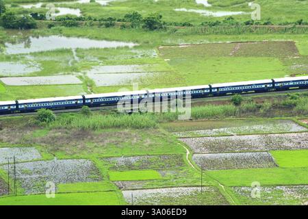 Ferrovia di Konkan che passa per risaie, Chiplun, Ratnagiri, Maharashtra, India, Asia Foto Stock