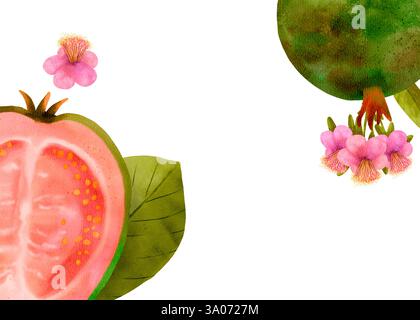 Si tratta di una splendida e splendida illustrazione ad acquerello con un vivace frutto di guava e delicati fiori rosa. Cornice rettangolare orizzontale su sfondo bianco. Foto Stock