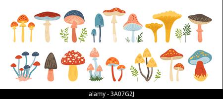 Set di cartoni animati disegnati a mano con funghi. Illustrazione isolata vettoriale velenosa e commestibile di vari funghi testurizzati. Boletus, chanterelle, porcini Amanita Muscaria, Fly agarico toadstool funghi icona arte Illustrazione Vettoriale