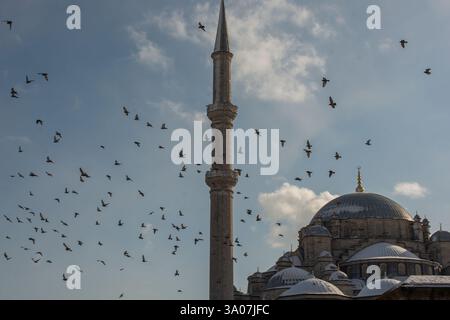 Pigeon volando intorno ai minareti della moschea Foto Stock