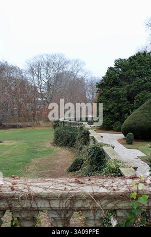 Ringhiera del patio coperta da una crescita eccessiva Foto Stock