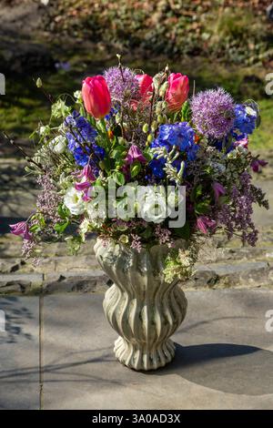 Natur, Pflanzen, Blumen, Blumenstrauss, Geburtstag, Geburtstagsstrauss, Tulpen, Tulipa, Allium, Klematis, Clematis, Rittersporn, Delphinium, Weidenkaetzchen, Salix caprea, Wilde Moehre, Daucus carota, Graeser Natur, Pflanzen, Blumen, bunter Blumenstrauss, Geburtstag, Geburtstagsstrauss, Tulpen, Tulipa, Allium, Klematis, Clematis, Rittersporn, Delphinium, Weidenkaetzchen, Salix caprea, Wilde Moehre, Daucus carota, Graeser, natura, piante, fiori, mazzo di fiori colorati, bouquet di compleanno, tulipani, allium, Clematis, Delphinium, salice, salice caprea, carota selvatica, Daucus carota, erba Foto Stock