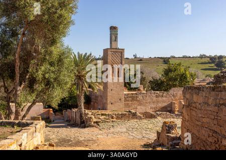 La Chellah, situata sulla riva sud dell'estuario del Bou Regreg a Rabat, in Marocco, è una necropoli medievale musulmana e sito archeologico. Foto Stock