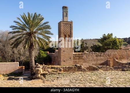 La Chellah, situata sulla riva sud dell'estuario del Bou Regreg a Rabat, in Marocco, è una necropoli medievale musulmana e sito archeologico. Foto Stock
