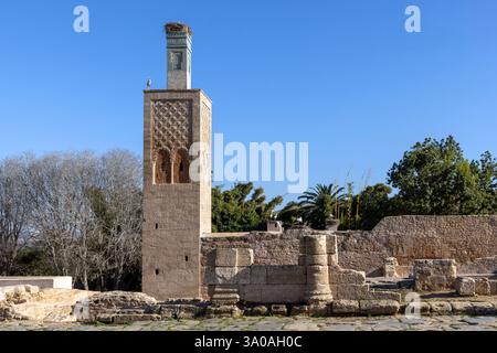 La Chellah, situata sulla riva sud dell'estuario del Bou Regreg a Rabat, in Marocco, è una necropoli medievale musulmana e sito archeologico. Foto Stock