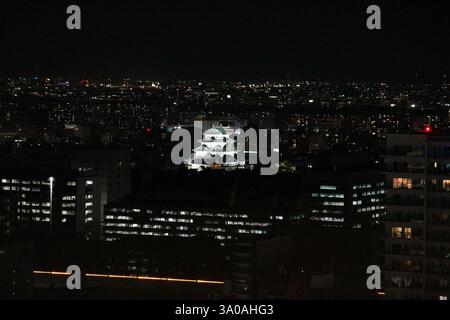 Vista aerea di Nagoya con i suoi grattacieli. Concentrata nel Castello di Nagoya, nel centro. Foto Stock