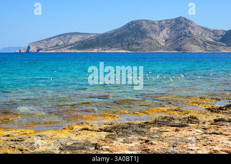La costa meridionale dell'isola di Ano Koufonisi. Koufonisia, piccole Cicladi, Grecia Foto Stock