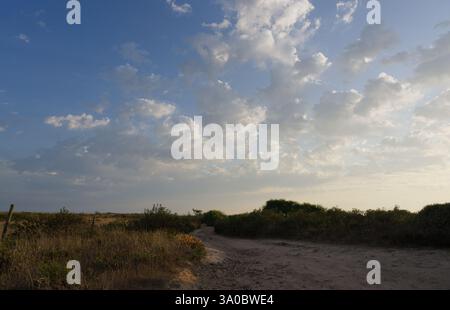 Sentiero sterrato attraverso il paesaggio rurale di Baixo Alentejo, Portogallo, sotto un vasto cielo pieno di nuvole spettacolari Foto Stock