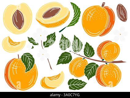 Albicocca. Set di illustrazioni a colori in stile disegno a mano. Contorno bianco. Design per cartoline, volantini, striscioni. Icone, cartelli, adesivi, logo dei perni Illustrazione Vettoriale