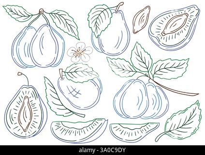 Prugna. Serie di illustrazioni in stile disegno a mano. Disegno a mano, contorno colore. Disegna per colorare in base a colori, cartoline. Icone, cartelli, adesivi, spille Illustrazione Vettoriale