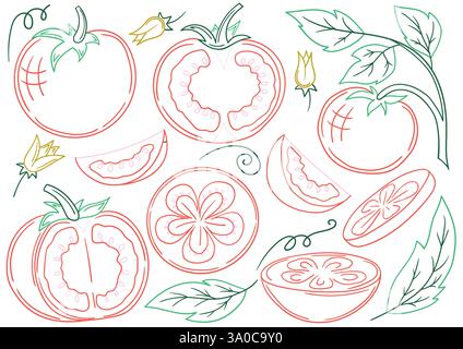 Pomodoro. Serie di illustrazioni in stile disegno a mano. Disegnato a mano, contorno a colori. Disegna per colorare in base a colori, cartoline. Icone, cartelli, adesivi, spille Illustrazione Vettoriale