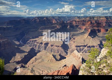 Vista sul South Rim Foto Stock