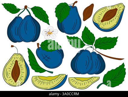 Prugna. Set di illustrazioni a colori in stile disegno a mano. Design per cartoline, volantini, striscioni, decorazioni per le stanze. Icone, cartelli, adesivi, logo dei perni Illustrazione Vettoriale