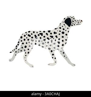 Cane dalmata piatto vettoriale disegnato a mano Illustrazione Vettoriale