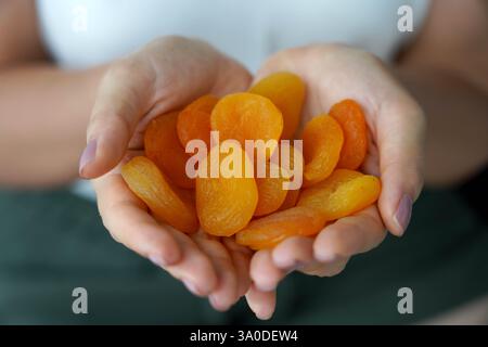 Albicocca essiccata. Primi piani delle mani femminili piene di albicocche essiccate. Foto Stock