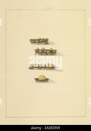 Icons, Fungorum, circa, Halifax, sponte, Nascentium, 1784-1792. Early Works, Ecology, Inghilterra, guide sul campo, funghi, Halifax, identificazione, nomenclatura, opere pittoriche, terminologia. una collezione di dolci delicatamente disposti è presentata su una serie di vassoi rettangolari stretti. Ogni vassoio presenta un diverso assortimento di prodotti rotondi e leggermente appiattiti, di varie dimensioni e consistenza. Le confetture sembrano essere realizzate con precisione, le loro superfici lisce e invitanti, suggerendo una varietà di sapori e ripieni. I vassoi sono allineati in modo ordinato, creando un'esperienza visiva piacevole Foto Stock