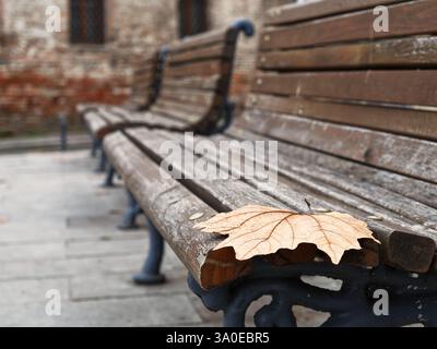 Una singola foglia d'acero caduto su una panchina di legno, che simboleggia l'autunno in un ambiente urbano. Foto Stock