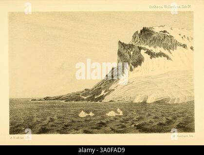 Ootheca, Wolleyana, Londra, venduta da R. H. Porter, 1864-1907., Un aspro paesaggio montano caratterizzato da una cima prominente caratterizzata da linee spigolate. In primo piano, il terreno strutturato si estende lungo la scena, conducendo l'occhio verso le scogliere spettacolari e la cima innevata. La montagna è parzialmente oscurata dal terreno ondulato, evidenziando i forti contrasti di luce e ombra che accentuano i contorni e le formazioni naturali. La composizione generale evoca un senso di grandezza e la bellezza selvaggia di una remota natura selvaggia. Foto Stock