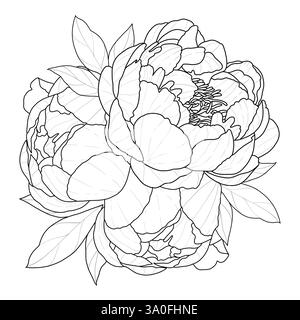 Cornice floreale con peonie Foto Stock