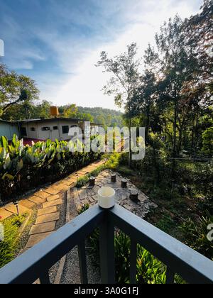 Una tranquilla vista mattutina da un balcone con una tazza bianca sulla ringhiera, che si affaccia su un lussureggiante paesaggio verde, un sentiero in pietra e una casa accogliente. Foto Stock