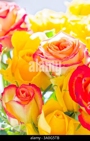 Prächtige Blüten. Der bunte Rosenstrauß , eine tolles Geschenk. München Bayern Deutschland *** magnifici fiori il mazzo colorato di rose, un grande regalo Monaco di Baviera Germania Copyright: XRolfxPossx Foto Stock