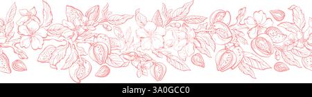 Mandorlo, noci. Disegna rami, fiori e foglie vintage senza cuciture. Fregio con texture floreale. Schema botanico. Olio aromatico, proteine organiche, foo vegano Illustrazione Vettoriale