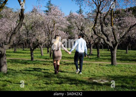 Coppia che si gode una romantica passeggiata nel parco quinta de los molinos a madrid, durante la stagione della fioritura dei mandorli Foto Stock
