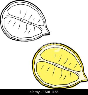 Agrumi a fette di limone. Set di illustrazioni del vettore di inchiostro della linea grafica. Isolato. Raccolta di frutti di limone in stile doodle disegnato a mano Illustrazione Vettoriale