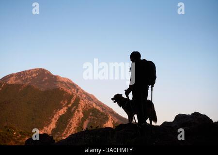 Un escursionista e un Border Collie si stagliano insieme su una cima di una montagna, sagomata contro il tramonto. La scena cattura il legame tra cane e umano Foto Stock